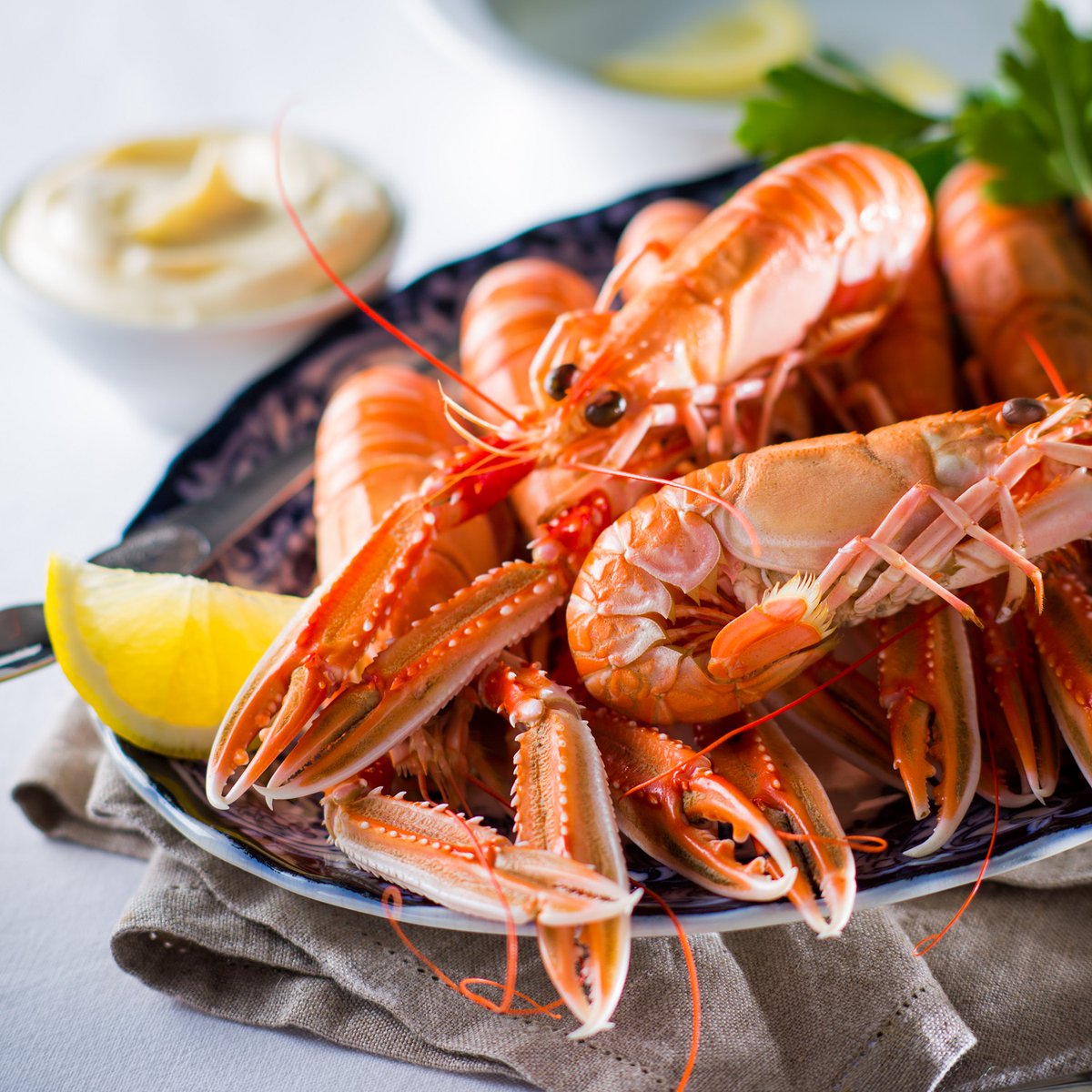 Inshore Scottish waters provide the perfect environment for #langoustine to thrive! With a soft, meaty texture these versatile shellfish cook in minutes and are packed full of nutrients harvested from Scotland's mineral-rich waters.