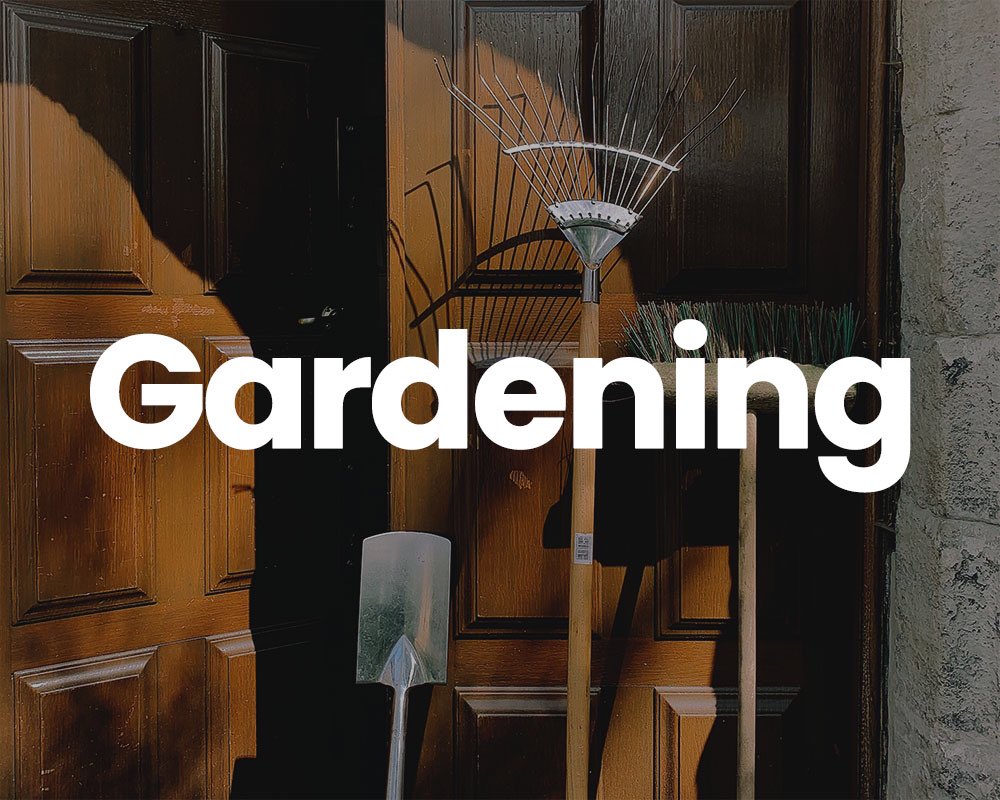 Come join us for gardening this evening at St Leonards priory!⁣
⁣
We’ll be there from 5:30pm - 7pm and on Saturdays from 11am - 1pm🪴🌻🌾⁣
⁣
There is plenty to do and no previous gardening experience is needed!⁣
⁣
#gardening #community #bowchurch ⁣