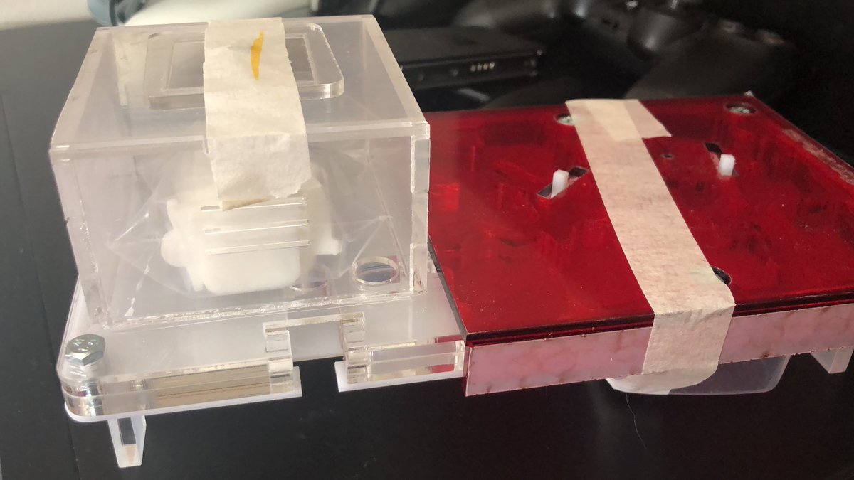 _yavey's tweet image. Y tal y como os adelanté en el directo de ayer. Aquí está el nuevo hormiguero! #ant #anthouse