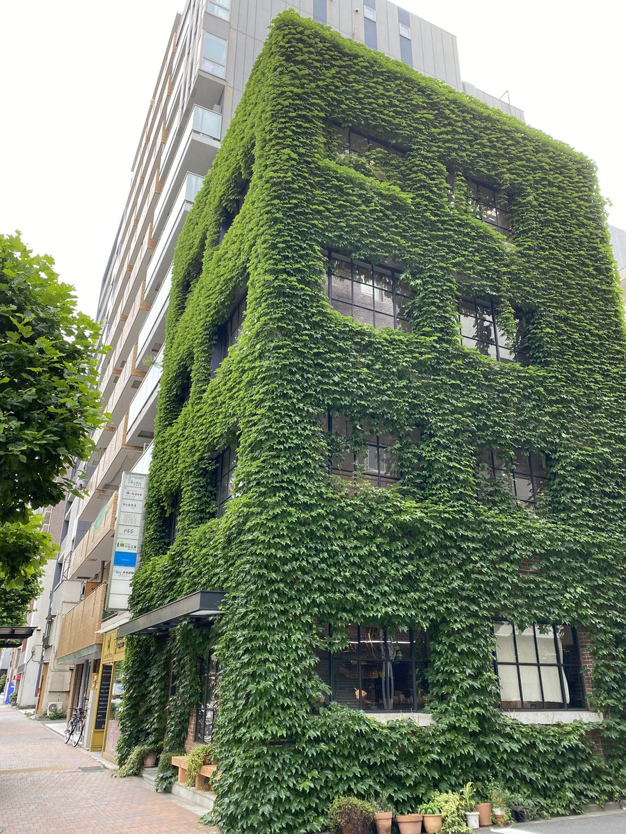 yasiki3's tweet photo. 仕事で付近を歩いていると、この建物のがもの凄く気になり中を覗くとカフェ。緊急事態宣言下ではテイクアウトのみのようなので、宣言解除後に行ってみたいお店の一つになりました。
絶対に店内はいい雰囲気のはず。
#日本橋浜町
#AugustMoonCafe https://t.co/zdoKIynCqJ