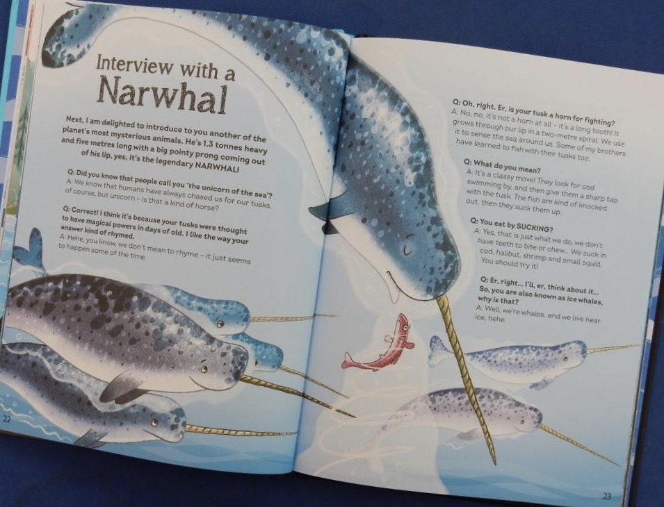 JillBennett18's tweet photo. Wonderfully quirky, bursting with information @andyseedauthor and highly appealing visuals @EastyNick #Interviewwithashark @welbeckpublish is #RedReadingHub’s #nonfiction book of the day reviewed now on the blog 🌊🦈🐋🦑🐟 https://t.co/5CLN6FGVXb https://t.co/J1VE4LuDVJ