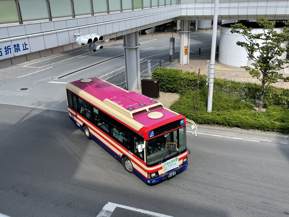 福島 福島交通7153 初めて上から観察したけどめっちゃピンク。下から見ると