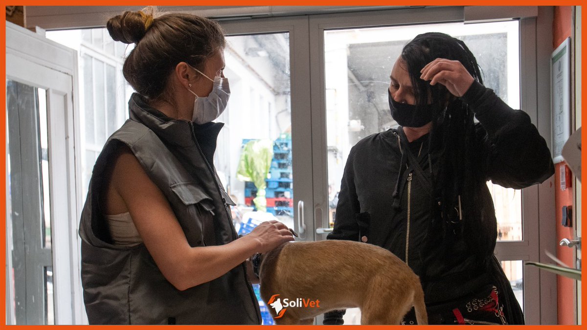 Les interventions vétérinaires avec SoliVet, c'est des rencontres, des sourires, du partage mais aussi une bonne dose d'organisation, comme peuvent en témoigner ces photos :