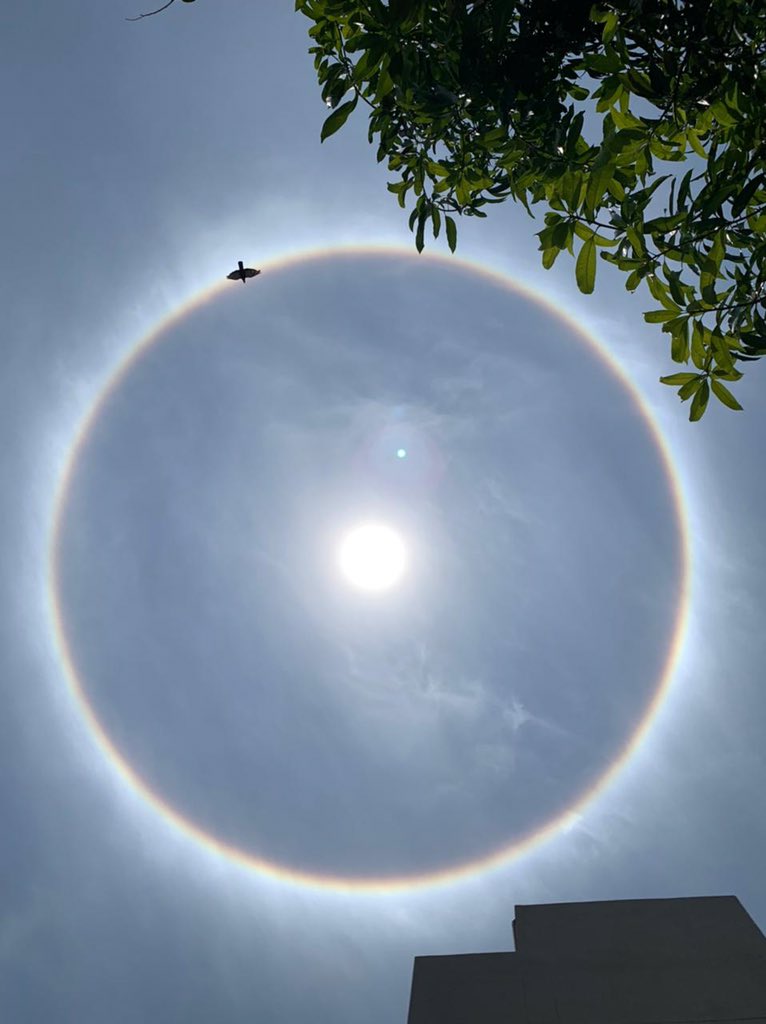jbr_irl's tweet photo. Sun Halo https://t.co/L2sGqsytBK