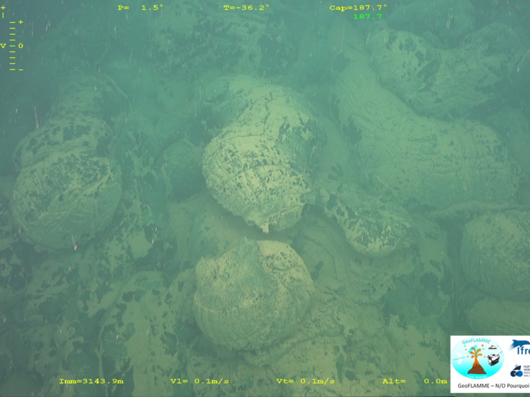 Wheeler_DeepSea's tweet photo. Incredible first images of submarine lava flows of the Mayotte volcano by the just finished #Geoflamme cruise with the #rov of @Ifremer_fr  #volcano #ABYSS 
More images on : https://t.co/qRy4k15XBP https://t.co/vdleaMH0hz