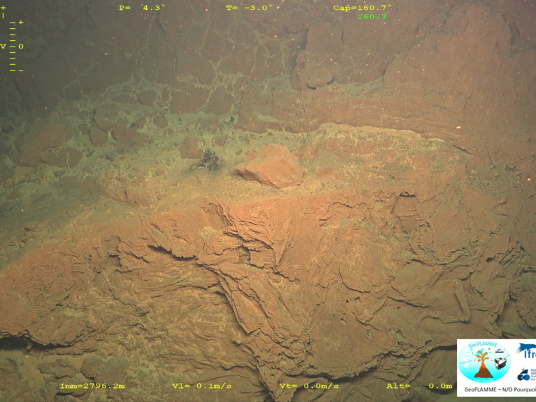 Wheeler_DeepSea's tweet photo. Incredible first images of submarine lava flows of the Mayotte volcano by the just finished #Geoflamme cruise with the #rov of @Ifremer_fr  #volcano #ABYSS 
More images on : https://t.co/qRy4k15XBP https://t.co/vdleaMH0hz