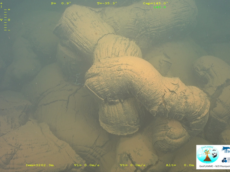 Wheeler_DeepSea's tweet photo. Incredible first images of submarine lava flows of the Mayotte volcano by the just finished #Geoflamme cruise with the #rov of @Ifremer_fr  #volcano #ABYSS 
More images on : https://t.co/qRy4k15XBP https://t.co/vdleaMH0hz