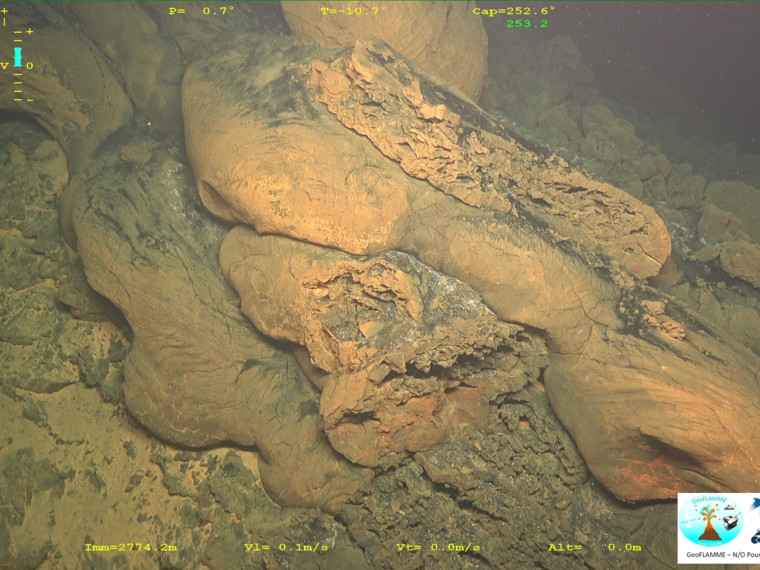 Wheeler_DeepSea's tweet photo. Incredible first images of submarine lava flows of the Mayotte volcano by the just finished #Geoflamme cruise with the #rov of @Ifremer_fr  #volcano #ABYSS 
More images on : https://t.co/qRy4k15XBP https://t.co/vdleaMH0hz