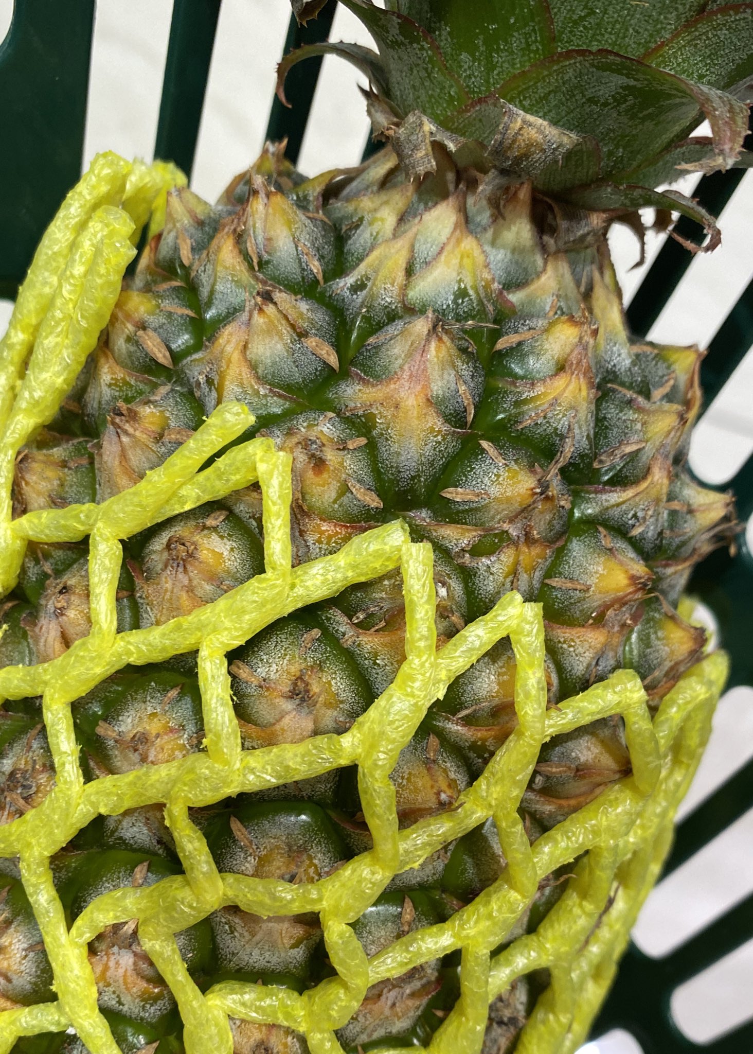川原慶久 気に入って台湾パイナップルを買う様になったのですが 結構な確率で皮が手に刺さり中二病男子のごとく右手を押さえながら 鎮まれ ってなってます T Co Ggvyzp4enh Twitter