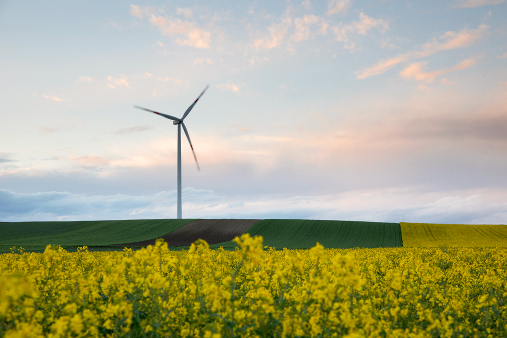 wksimonsfeld's tweet photo. Ein außergewöhnlich windstarker Mai😍👏: Unsere Wind- und Sonnenenergieanlagen haben im Mai insgesamt rund 53,7 Mio. kWh produziert und lagen damit um 32,5 % über dem Planwert. 💪😊
Wir freuen uns über das sehr gute Produktionsergebnis! 😃👍
📸: Klaus Rockenbauer https://t.co/HjUo5hKRWL