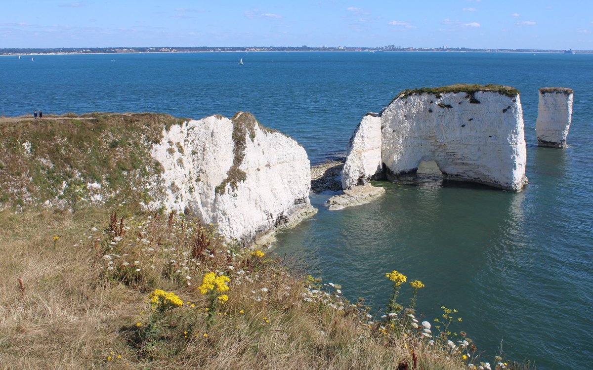 Join the DCF team's virtual #DCFMeeting2021 on 17th June at 10am for a packed 2 hours with great speakers. REGISTER HERE to book and see agenda
👉bit.ly/2RgEk7y👈 #CoastalTechnology #CoastalPartnerships #Aquaculture #CoastalDefences #MarinePlanning