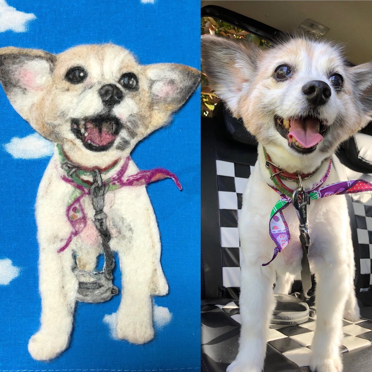 Ruirui Chisa Rui Twitter