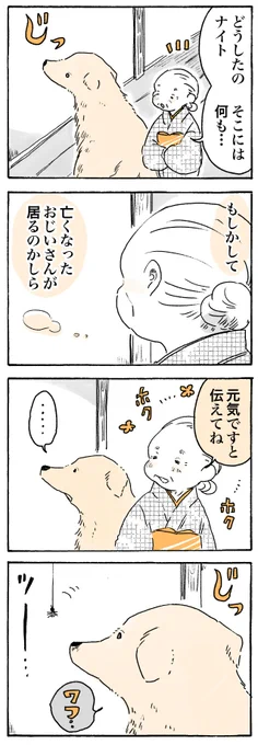 🐕.。oO(元気です!!)🕷

#姫ばあちゃんとナイト
(単行本発売中!✨) 