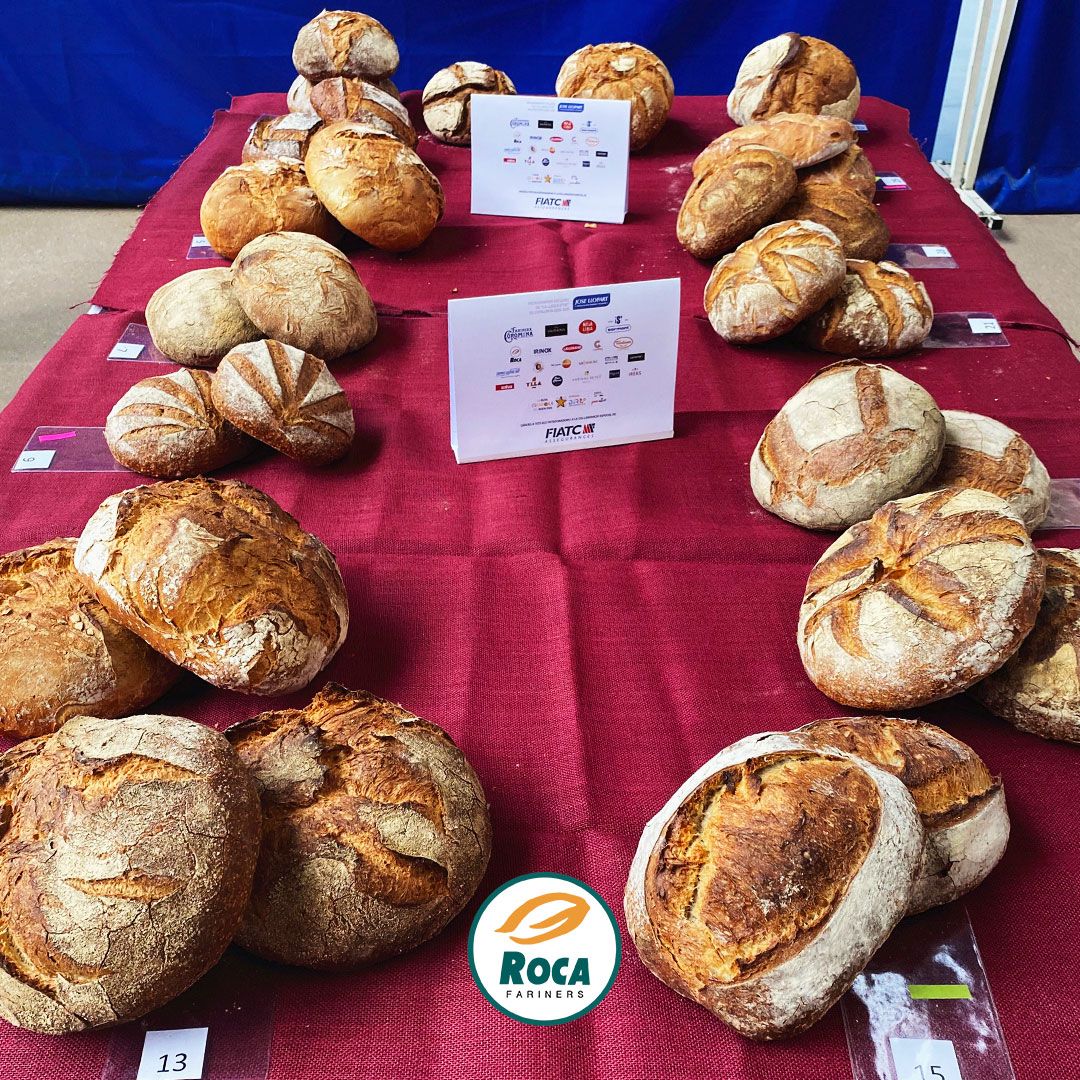 Harinera Roca tweet media