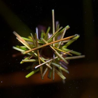 Deirdre 💚 tweet media