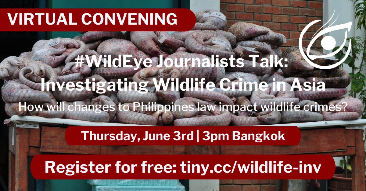 [WEBINAR] Find out how Philippines journalist @JhessetEnanoINQ interrogated a decade of data to show how wildlife criminals are getting away with little more than a slap on the wrist. Join our virtual convening on Thursday, June 3rd. Register for free ➡️ tiny.cc/wildlife-inv