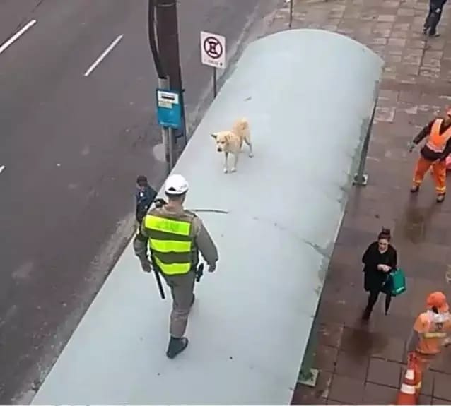 "Quando todas as armas forem de propriedade do governo, este decidirá de quem são as outras propriedades."/"When all weapons are owned by the government, the government will decide who owns the other properties."

- Benjamin Franklin