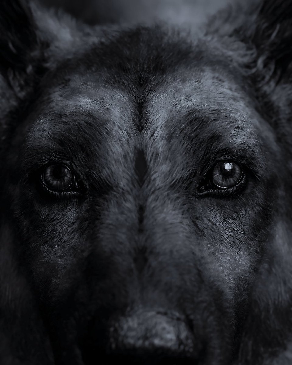 Photoingame's tweet photo. Black and White

#GG30BNW #GamerGram

#VirtualPhotography #NaughtyDog #PSShare #PSBlog #PS4 #TheLastofUsPartII #JoelMiller #Alice #PS5 #Uncharted4 #CassieDrake #Vicky #BlackandWhite #ThePhotoMode #VGPUnite #VPEclipse #VPContext #WorldofVP

My Instagram: https://t.co/XLaTbc1iXH https://t.co/kidzftPftv