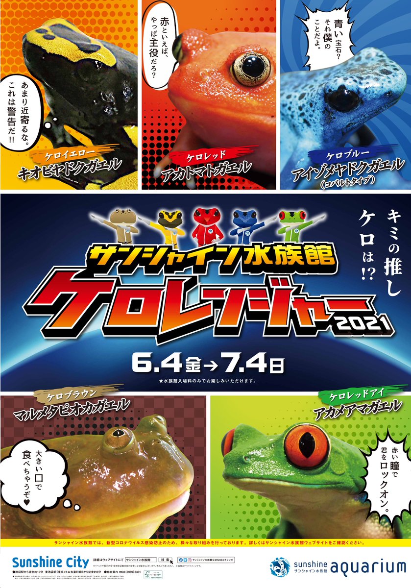 サンシャイン水族館 ケロレンジャー21 6 4 金 7 4 日 の期間中にカエルの生態や環境問題との関わりについて楽しく学べるイベント ケロレンジャー21 を開催します 特設水槽でのカエル展示やご自身のスマートフォンでお楽しみいただけるクイズ