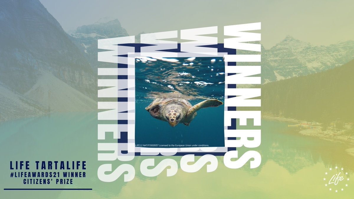 LIFEProgramme's tweet photo. Turtles in the Mediterranean can shell-ebrate!🐢
Congratulazioni 🇮🇹 to our #LIFEproject #Tartalife - the winner of the #LIFEAwards21 Citizens' Prize! 🏆
Learn how their work is preventing sea turtles from getting caught in fishing nets ➡️ https://t.co/dkbEnnebvu
#EUGreenWeek https://t.co/IpCsKS1V8V