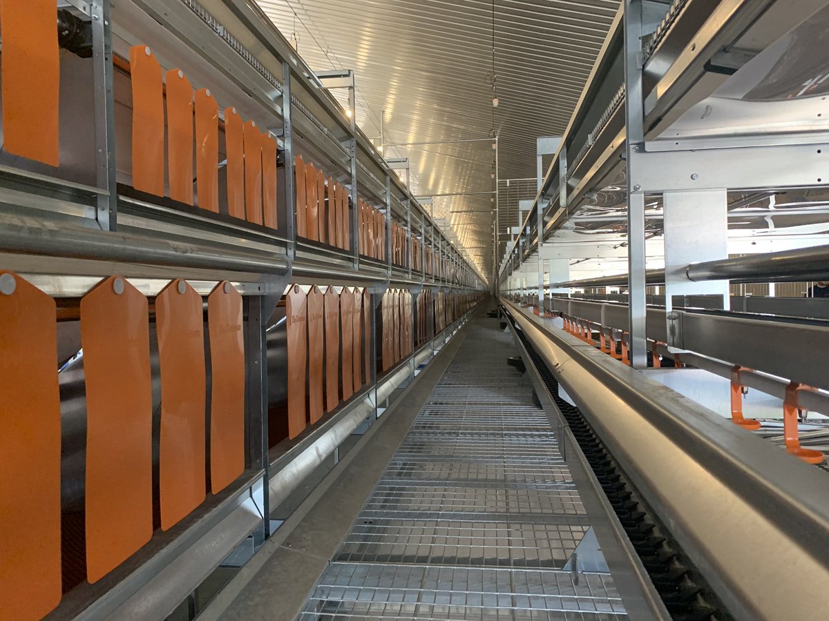 Site visit this morning again to our 64,000 bird build site in sunny North Yorkshire. System and site look fantastic and the build is progressing at a fantastic pace!
#Newquip #freerangeeggs