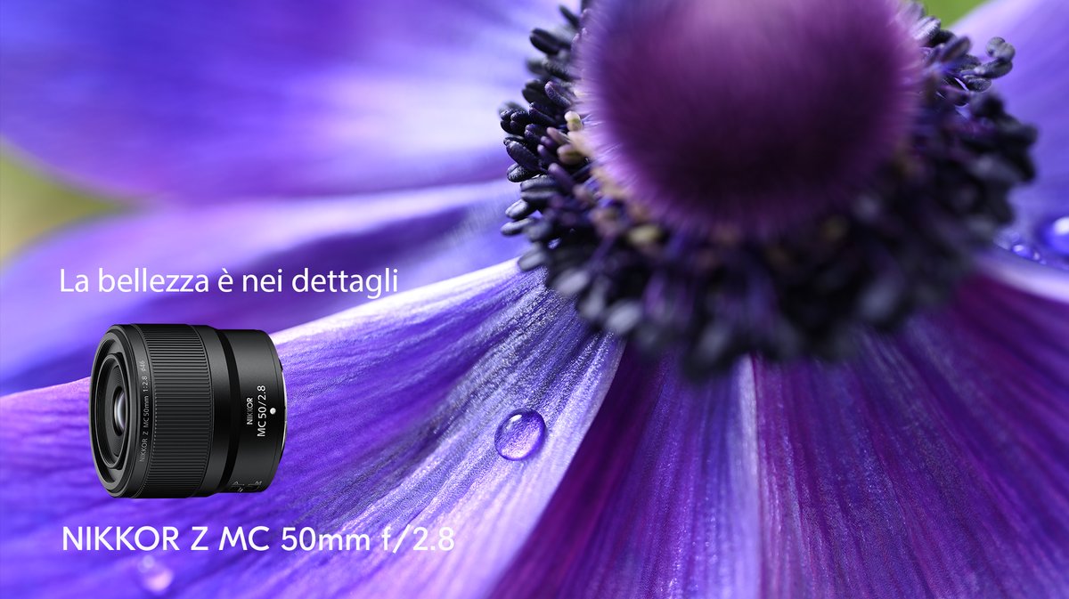 Il nuovo #NIKKOR Z MC 50mm f/2.8 è qui! 
Da scatti macro 1:1 a grandezza naturale e primi piani sorprendenti a splendidi ritratti. Cattura la bellezza che vedi con l'obiettivo macro full-frame che fa molto di più di una semplice macro.
Scopri di più: bddy.me/3phm2PZ