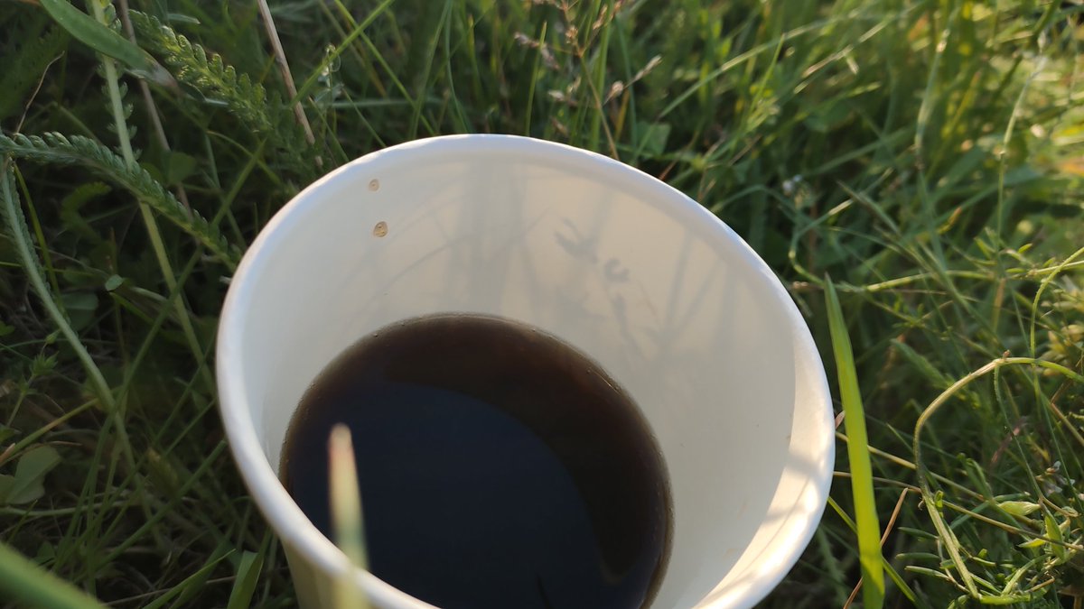 DylanRrv's tweet image. On est d&apos;accord, il me regarde ? 😶