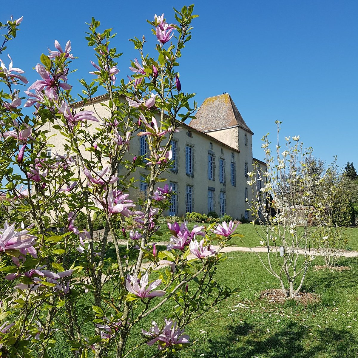 Ce week-end, c'est 🌺RENDEZ-VOUS AUX JARDINS !🌺
Retrouvez la liste des jardins ouverts à l'occasion les 5 et 6 juin 2021 
👉 vendeevallee.fr/je-respire-au-…
<a href="/Rdv_Jardins/">Rendez-vous Jardins</a> #vendeevallee #vendee #rendezvousauxjardins