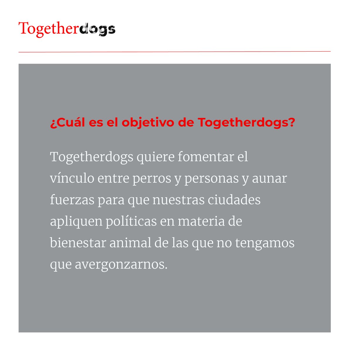 togetherdogs's tweet photo. https://t.co/F4Idv8u8q6 no es la típica revista de perros. Para más información visita nuestra web. https://t.co/MEtsTix0tP