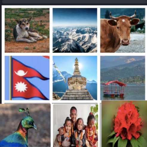 TBSyear5's tweet photo. As part of their new IPC topic, Year 5 thought about their impressions and connections with their host/home country of Nepal and created online collages to reflect these thoughts and viewpoints. #IPC #ICT #crosscurricular #creativity https://t.co/nbpll0gia4