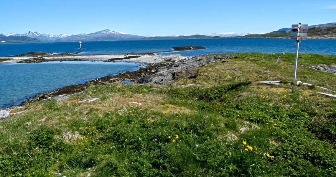 TursidenNO's tweet photo. Seashore hike along Saltenfjorden to Skagodden on Straumøya in Bodø. https://t.co/X9MGdlsmwS https://t.co/uUN8YUPKch