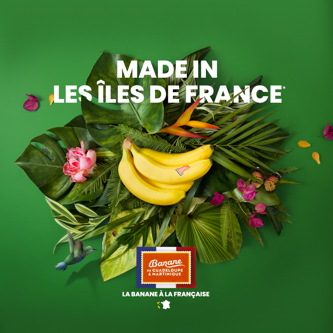 BrainsonicParis's tweet photo. “Même jaunes, nos bananes restent vertes”, la Banane à la française c’est ça ! Découvrez la nouvelle campagne de communication 360 que nous avons imaginé pour @LaBananeDurable 🍌 

➡️https://t.co/wZxzTEVWBo 

#Bananefrançaise #communication360 #foodmarketing https://t.co/MppvNaodHY