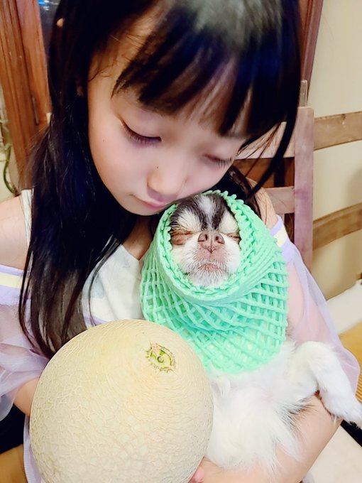 Twitterのコスプレ画像12