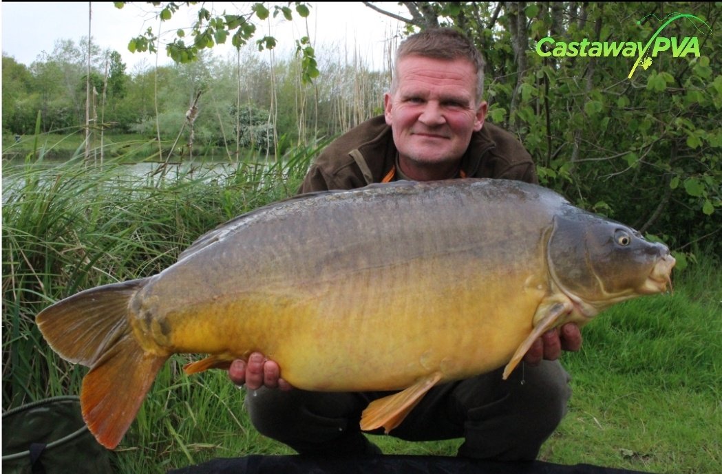 Castaway PVA tweet media