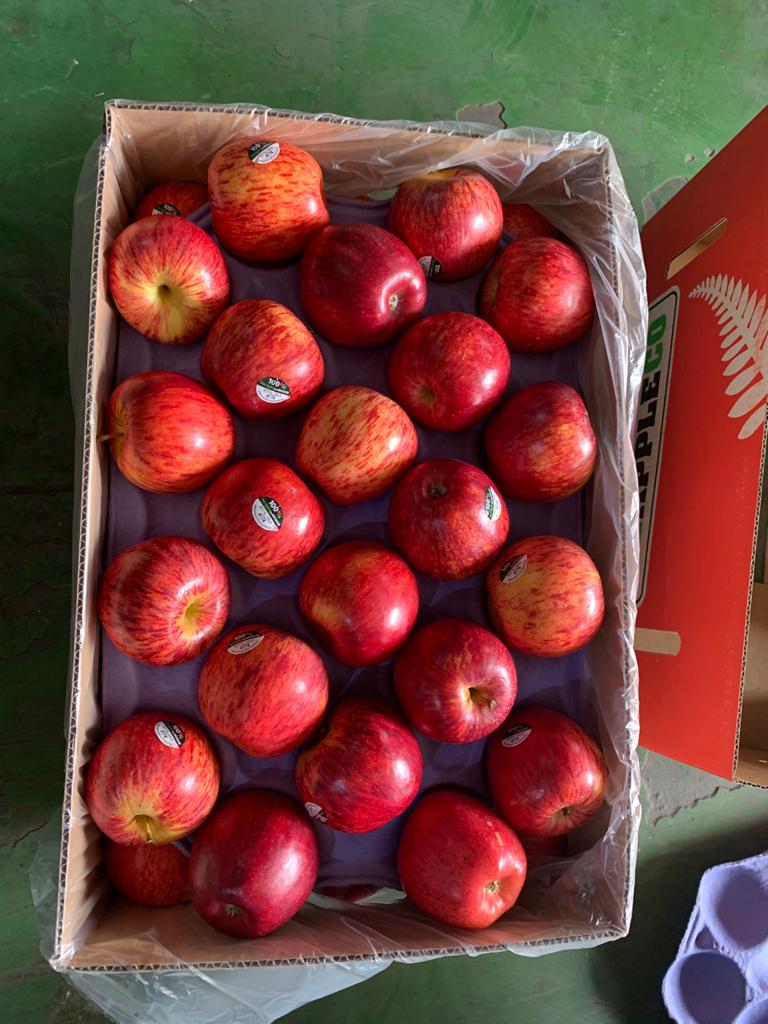 ConcorFhel's tweet photo. Received 1 container of New Zealand apples 🍎 in Domestic warehouse at Agri Logistic Centre, Rai, Sonipat
@concor_india @ConcorArea4 @shankarmaz46 @ConcorNwr @ConcorW @VKRamaCMD @ConcorArea3 @ConcorNcr @APEDADOC @Agri_Exports @nafedindia @ApmcAzadpurMndi @ssa_mandi @NCDEXeMarkets https://t.co/0DQ643e2dk