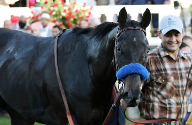 فروسية وطن tweet media