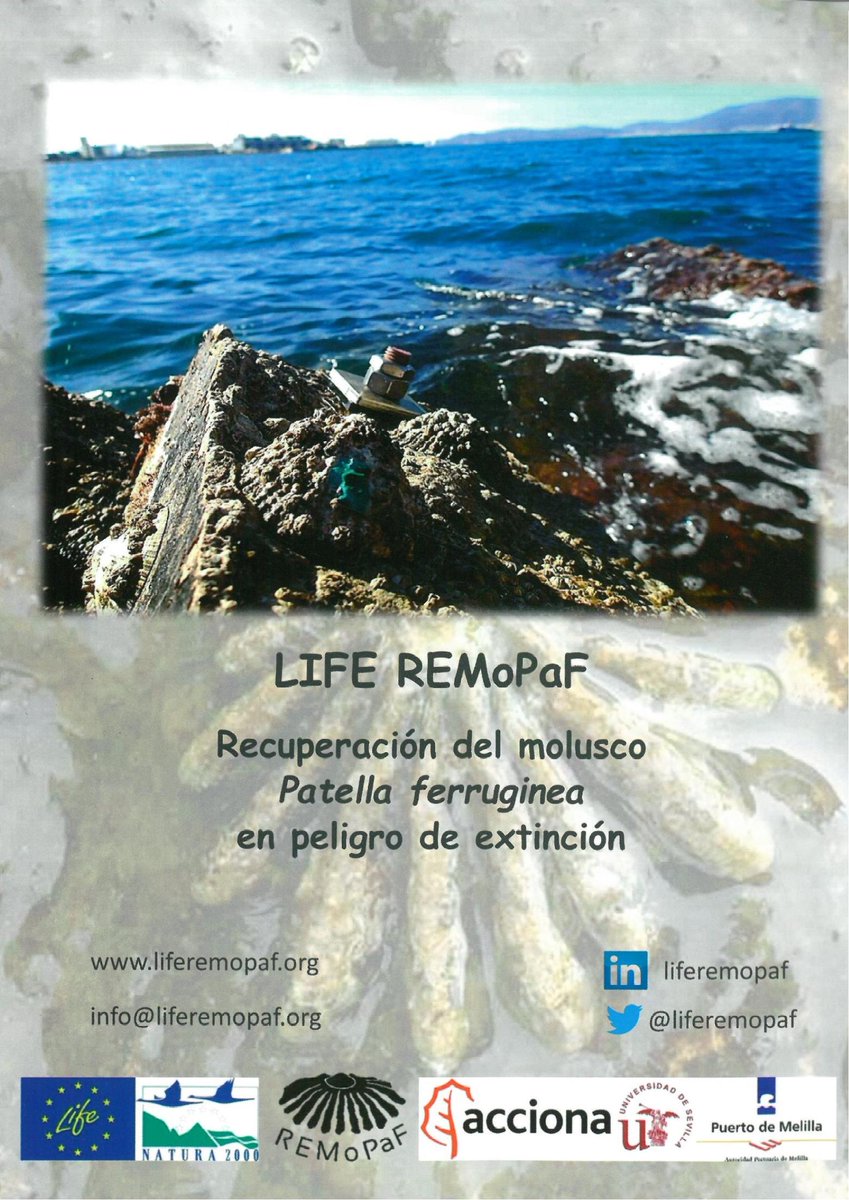 liferemopaf's tweet photo. Ya está a la venta la @RevistaQuercus nº424, en la que @liferemopaf incluye un artículo especial en su interior. Os invitamos a leerlo completo y que os guste. Aquí tenéis un avance: https://t.co/O3c4zsyL9H
@ACCIONA @unisevilla @puertodemelilla @PuertoAlgeciras @LIFEprogramme https://t.co/n4bWWApaNw