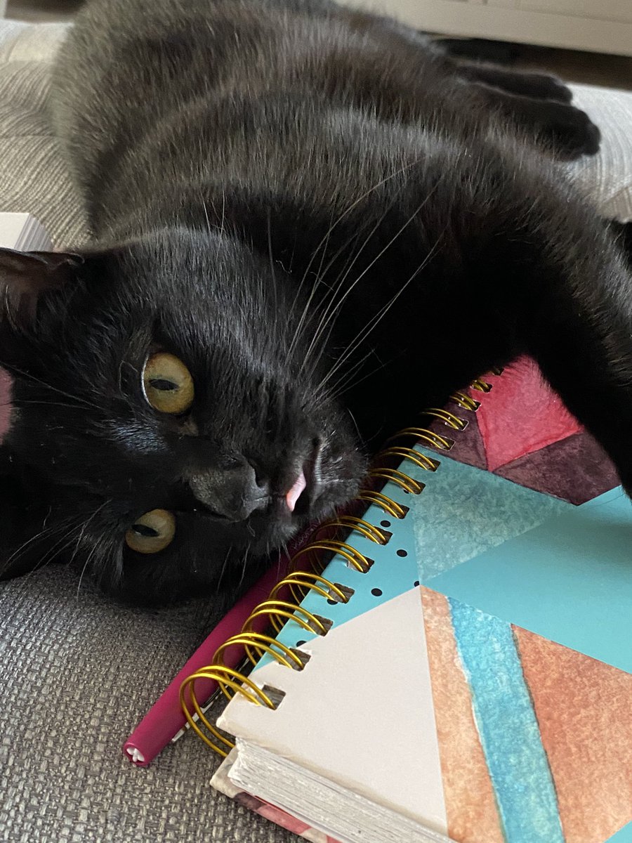 MrsSmith_SEND's tweet photo. This is Chia... she’s been helping me with my marking and my to do list for next week! 🥰 #HalfTermWorkDay #BackToRelaxingNow #WorkLifeBalance @TPositiveTC https://t.co/czOXY7XLd1