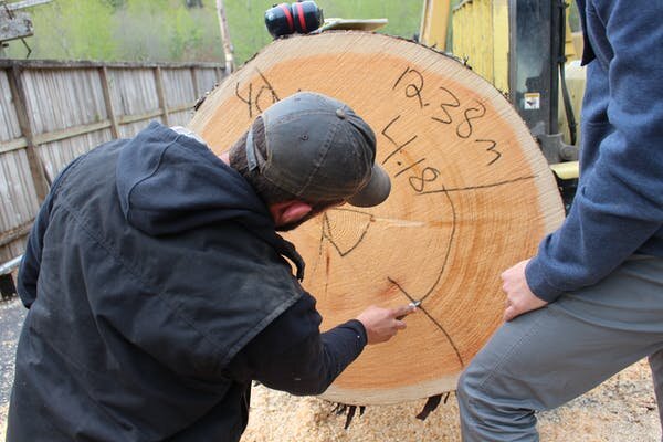 My Guitar Gently Weeps For The Tree Species Its Construction Drives To Extinction bit.ly/34TLAJT #endangeredspecies #guitar