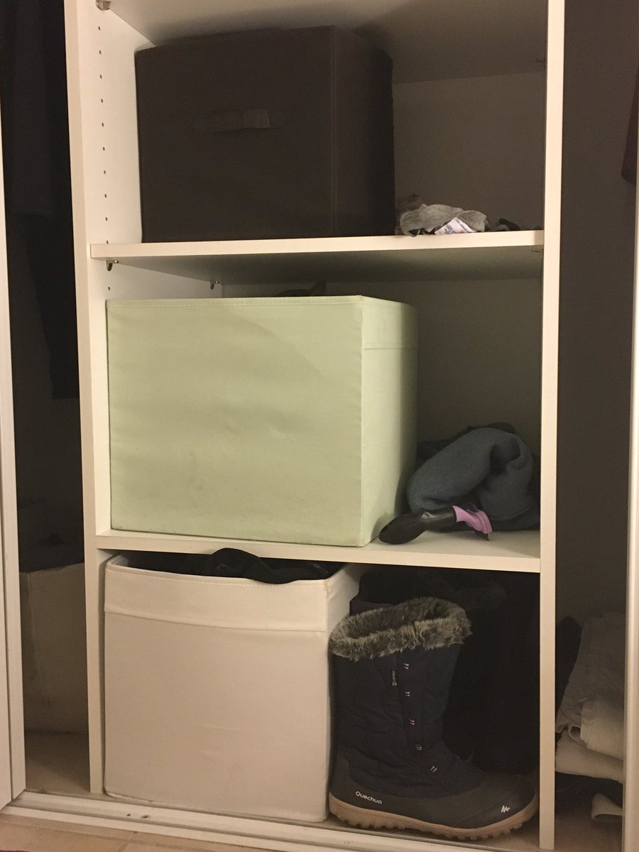 lexislechat's tweet image. #ChatCaché 😽