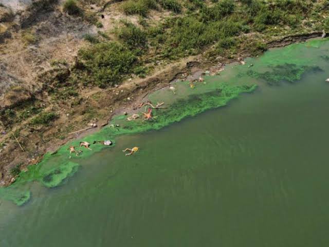 RuparamTard's tweet image. #ModiAgainst_IAS_IPS