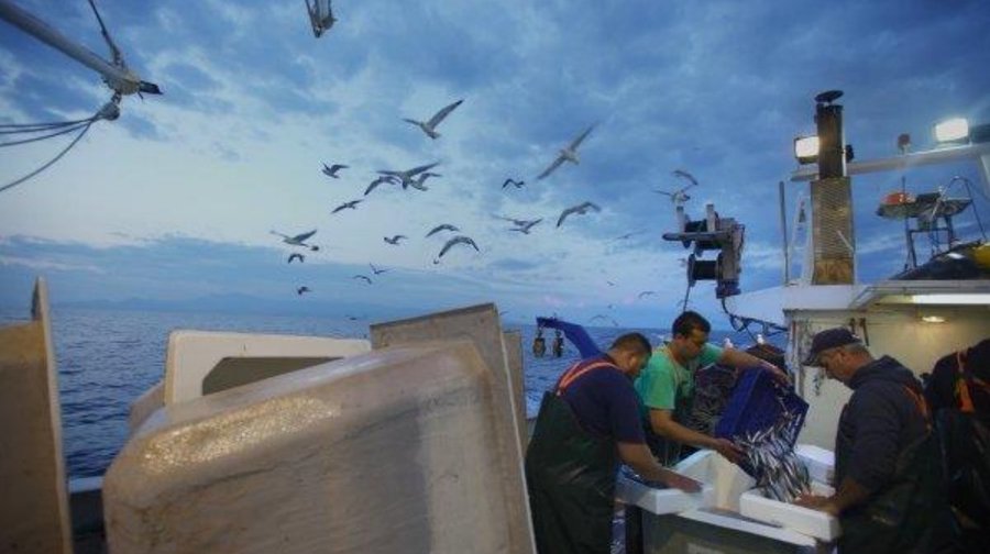 SeasAtRisk's tweet photo. Celebrate #WorldOceansDay with an online screening of #SilentFish + debate on June 8 at 7-9PM CET. Learn the threat posed by #overfishing to the Mediterranean environmental & cultural richness.
Register https://t.co/16EnMIxpEg
#OceanWeek #WorldOceanDay #EndOverfishing https://t.co/gRaVaGjYFf