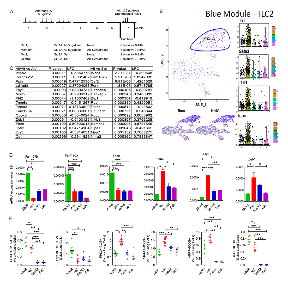 JExpMed's tweet photo. Mukesh Verma, Rafeul Alam, @iitbKapil et al. @NJHealth use scRNA-seq and ATAC-seq to characterize the molecular & epigenetic mechanisms of ILC2 memory development and its relevance for #asthma https://t.co/VFUADtShAf
#inflammation https://t.co/1Q2js4HYzN