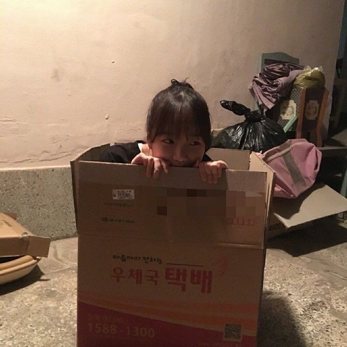 yolanindyaar's tweet photo. ㅤ

𝗜𝗻𝘀𝘁𝗮𝗴𝗿𝗮𝗺.

𝐲𝐨𝐲𝐨𝐥𝐚𝐥𝐚ㅤMalam-malam gini paling enak Q-time, nikmatin waktu sendirian sambil nonton film! Ada yang sama gak kayak aku? Nah ngomongin soal film nih, aku punya rekomendasi film kesukaan aku yang tak tergantikan! Judulnya 'Spirited Away' —

ㅤ https://t.co/sXCIB4kXqC
