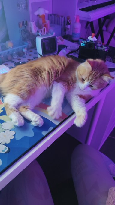 Twitterのコスプレ画像61