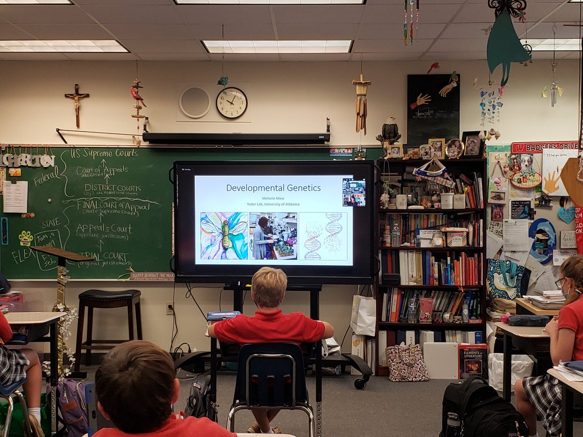 susan_collado's tweet photo. Yesterday 7th grade had a meeting with Scientist Ms. Melanie Mew from the @UAChBE . She discussed her research in developmental genetics and what we can learn about our genes from their research with fruit flies.Thank you for sharing real science in action. @allsaintsjup #STEM https://t.co/IYYMiDiuT9