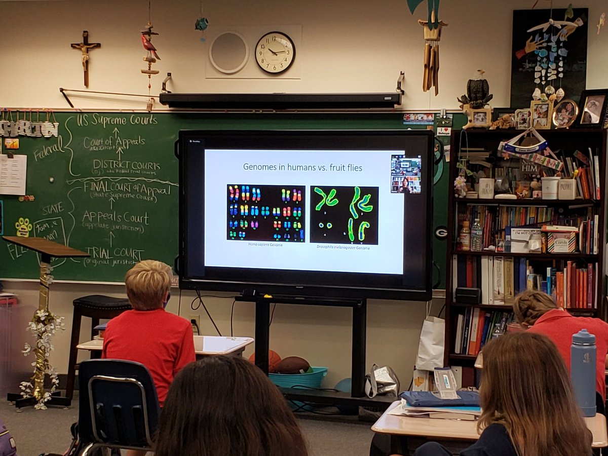 susan_collado's tweet photo. Yesterday 7th grade had a meeting with Scientist Ms. Melanie Mew from the @UAChBE . She discussed her research in developmental genetics and what we can learn about our genes from their research with fruit flies.Thank you for sharing real science in action. @allsaintsjup #STEM https://t.co/IYYMiDiuT9