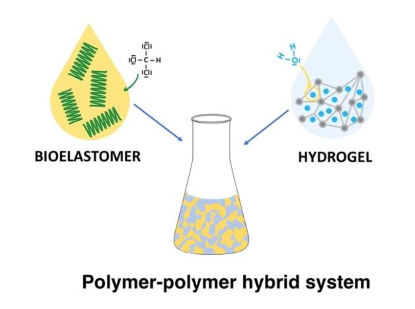 psobolewskiPhD's tweet photo. Glad to see a new #preprint from our group: a review on polymer-polymer hybrids, eg. elastomer and hydrogel, for #BioMed applications. Huge for the young scientists involved, including Master's student @nina_kaem
#ASAPBio #ASAPChem #MatSci
https://t.co/mGsbpoQdkz https://t.co/n58P5XtVFe