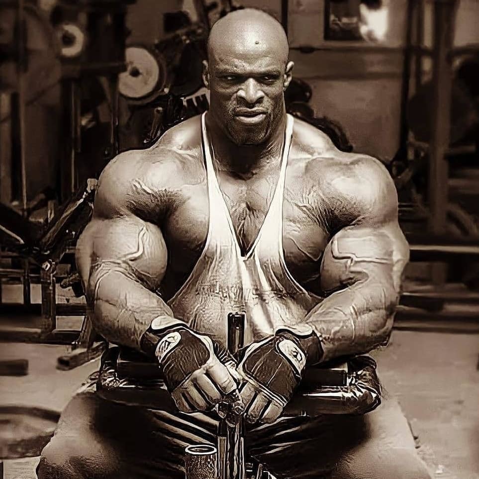 BodybuilderIron's tweet image. 