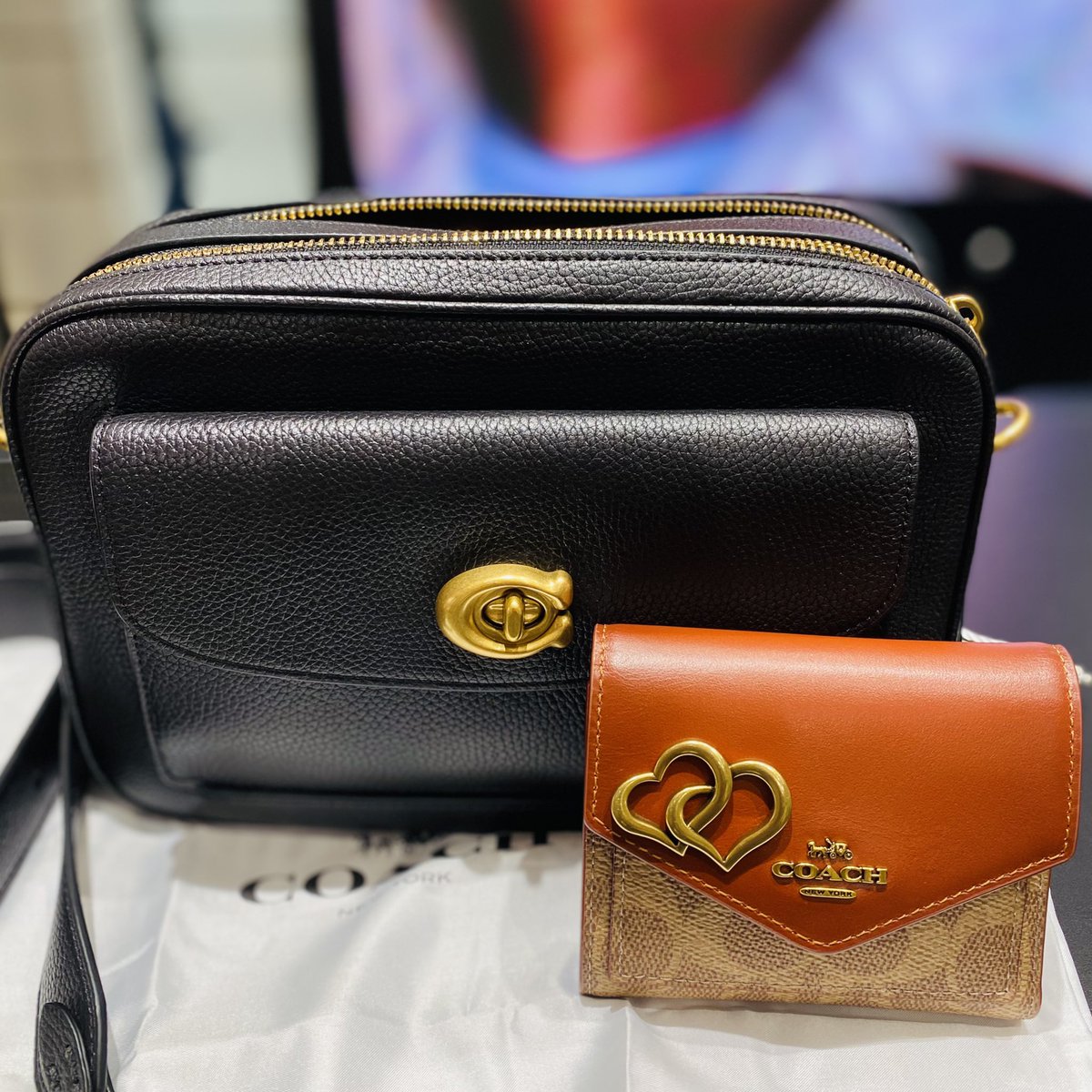 gencyandayone's tweet photo. 先日プレセールで
バッグと一緒に購入した
二つ折り財布の面に
ハートのピンをつけてもらいました!
可愛い♡
#coach #coachcreate #coachmonogram #二つ折り財布 https://t.co/5lT27kmVHi